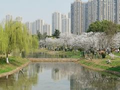 -堤角公园