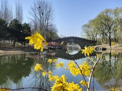 -大兴滨河森林公园