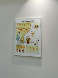 -雍禾植发全国连锁