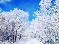 -中旅松花湖滑雪场