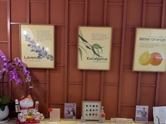 -LANN I 蘭·泰式古法按摩(高岛屋百货店)