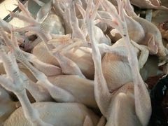 -鸿港海鲜批发市场