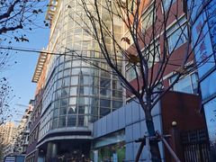 -同济大学附属口腔医院