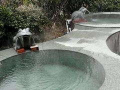 -仁爱团泊湖温泉中心