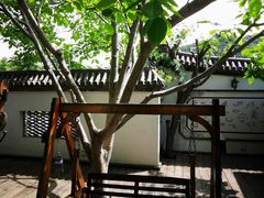 -慢丽江·云南野生菌土鸡锅(西山店)