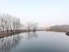 -梅溪湖城市岛