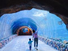 -华夏文旅海洋公园