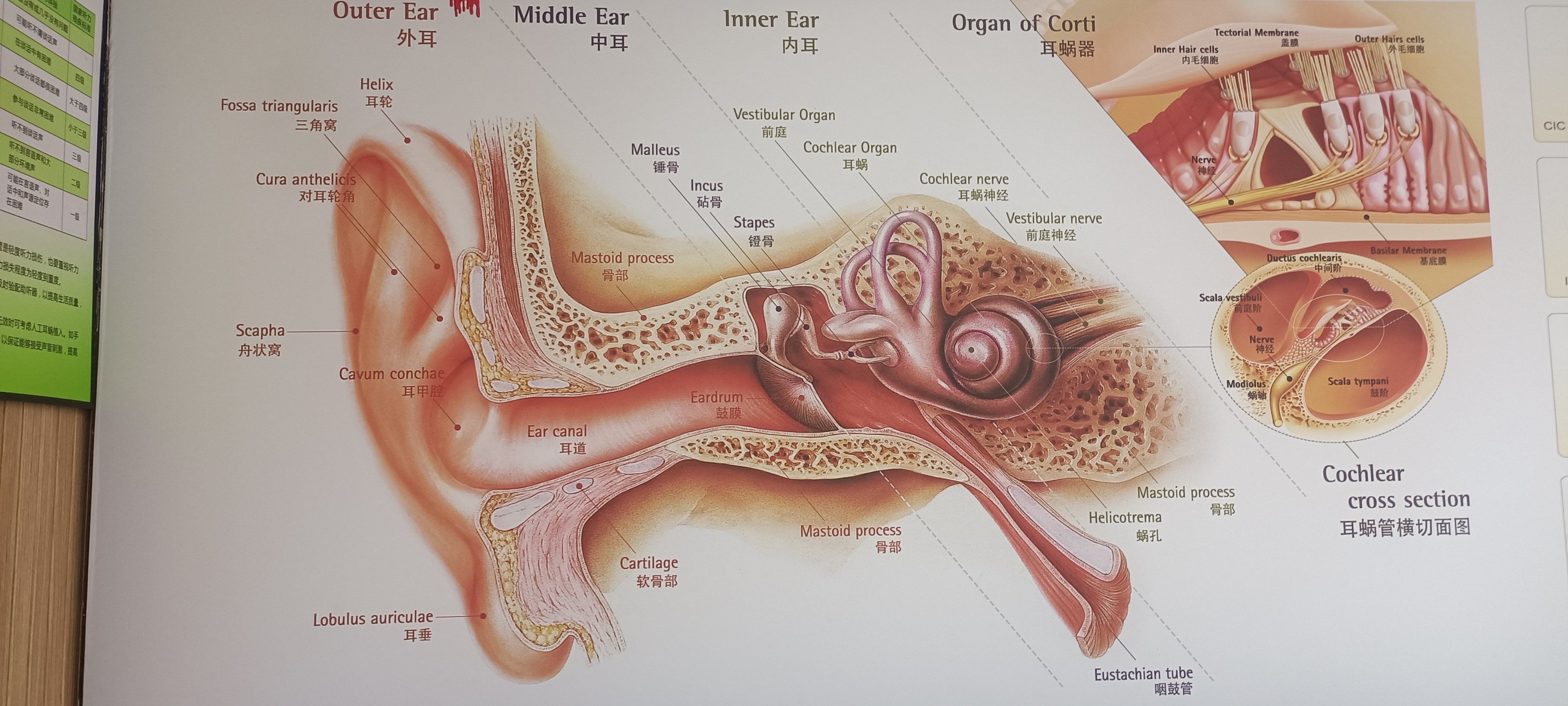预防中耳炎复发可以从以下几个方面着手