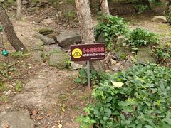 -吉林市朱雀山国家森林公园