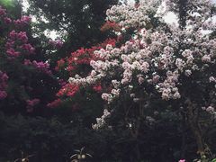 -杭州城北体育公园