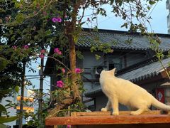 -悟饮门市景店