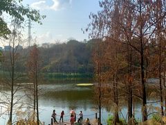 -重庆彩云湖湿地公园