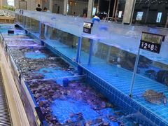 水产区-必点蒸汽海鲜(止锚湾店)