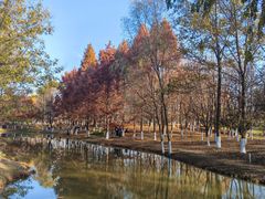 -西安浐灞国家湿地公园