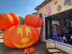 -HERRE·FARM 赫尔露营农场·团建聚会包场