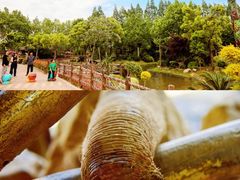 -上海野生动物园