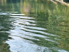 -动邦皮划艇·桨板·独木舟·团建户外运动俱乐部