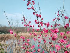 -大蜀山国家森林公园