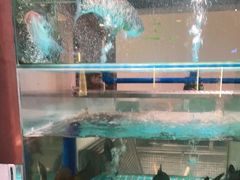 -狮伙海鲜捞(千灯湖店)