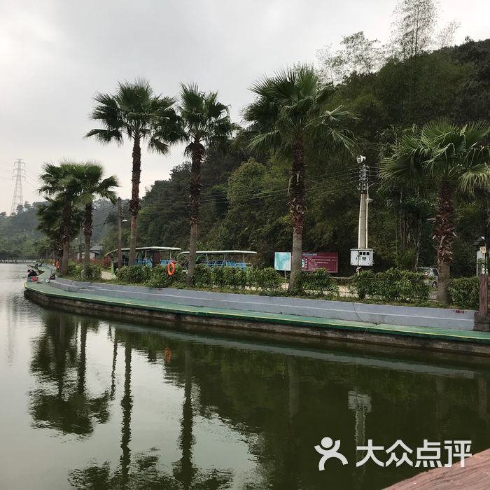 泰康山生态旅游区图片