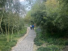 -狼山风景名胜区