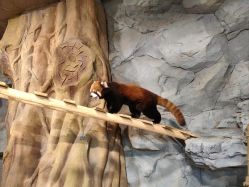 -Zoolung Zoolung动物主题公园(海信广场店)