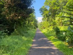 -武吉知马自然保护区