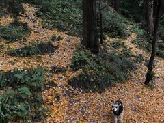 -金堂县云顶石城风景区