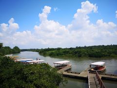 -东寨港红树林旅游区