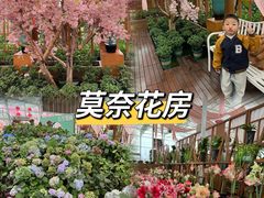-盈香心动乐园