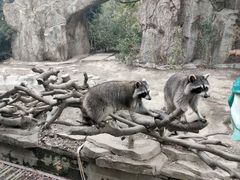 -宁波野生动物园