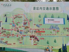 -黄海国家森林公园