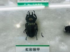 -石家庄市动物园