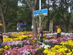 -福神岗公园