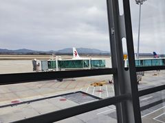 -威海大水泊国际机场