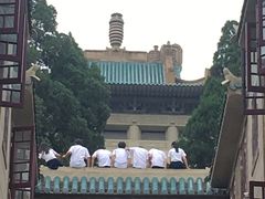 -武汉大学-樱园