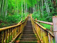 -蜀南竹海景区