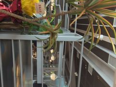 -湊湊火锅·茶憩(皇姑万象汇店)