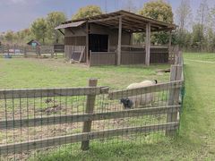 -田园东方蜜桃村的田野营地
