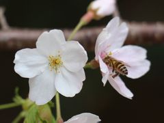-西北湖绿化广场