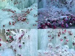 -洛阳白云山景区