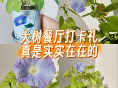 -大树餐厅(环球港店)