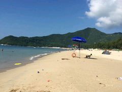 -西涌国际滨海旅游区