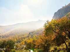 -苏木山森林公园