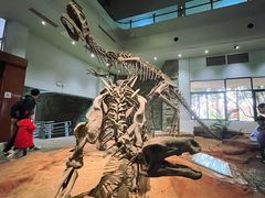 -自贡恐龙博物馆