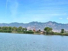 -野鸭湖国家湿地公园