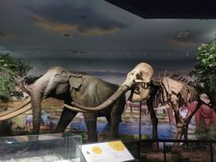 -湖南省地质博物馆