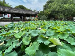 -丝绸小镇荻港古村