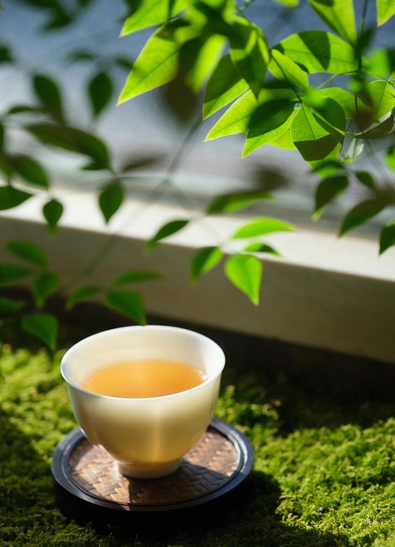 清晨一杯茶,心静如水