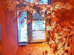 -解家河南菜(金水路店)